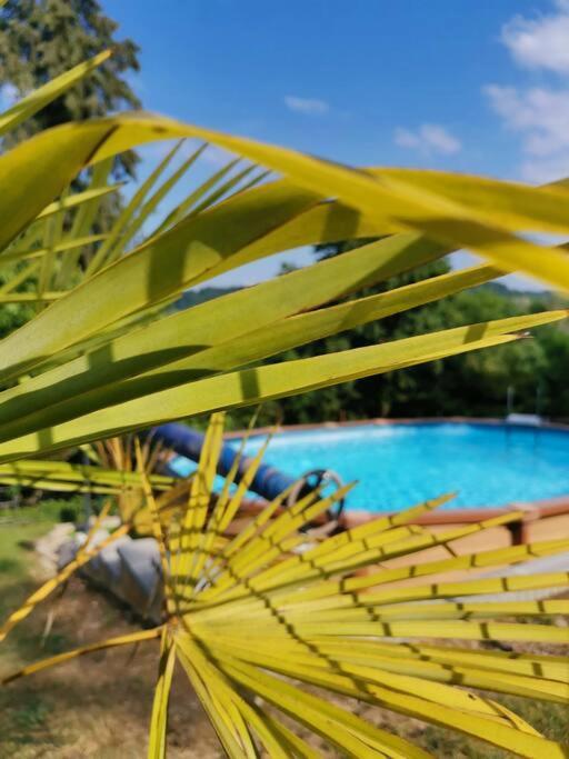 Le Machaon , Rural *** Avec Espace Piscine Prive *
